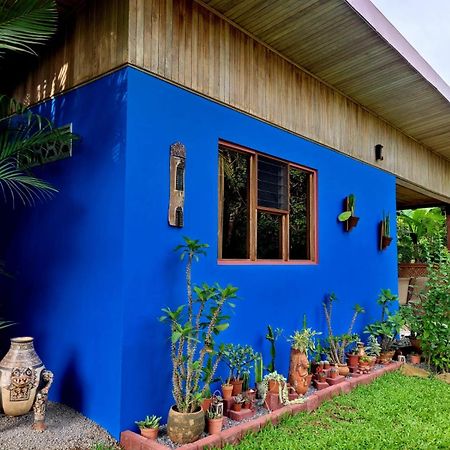 Quinta Don Fernando Bed & Breakfast La Garita  ภายนอก รูปภาพ