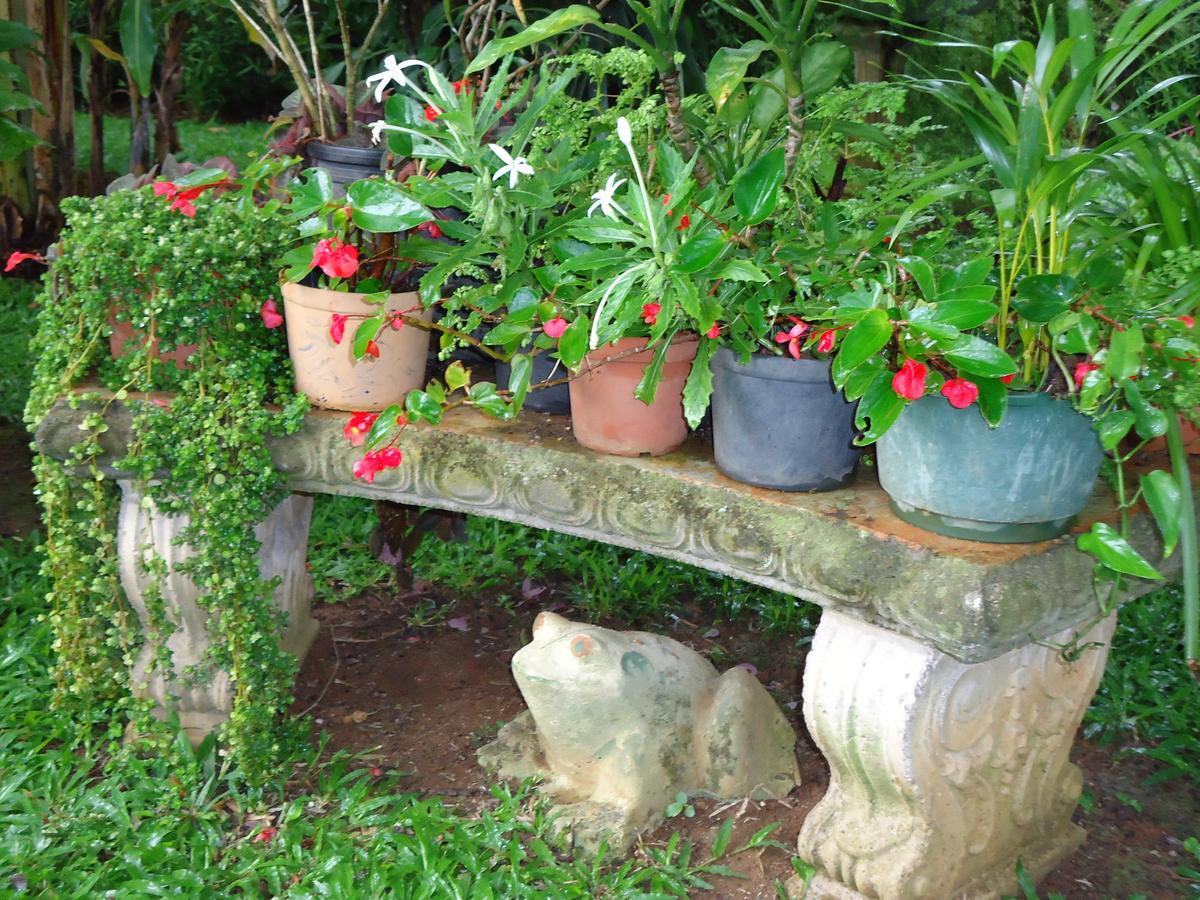 Quinta Don Fernando Bed & Breakfast La Garita  ภายนอก รูปภาพ
